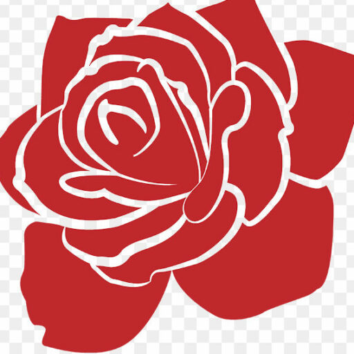 cropped-cropped-rosa-logo.jpg Rosa upcycling